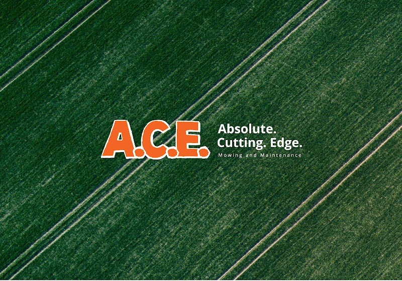 Absolute Cutting Edge