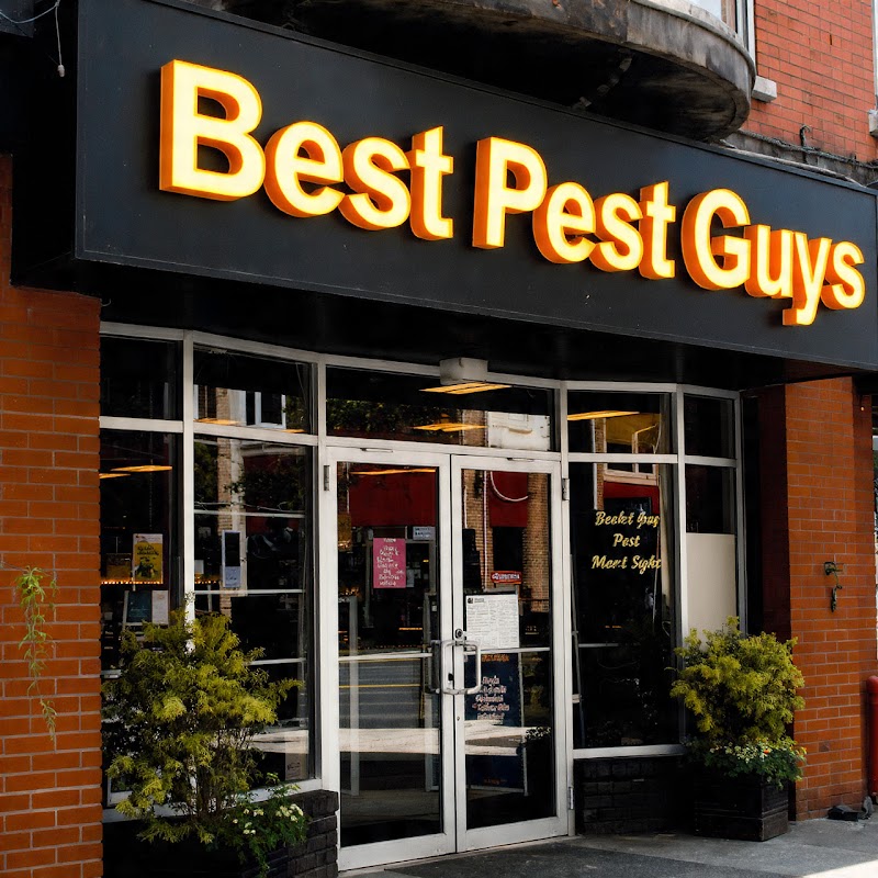 Advanced Pest Control