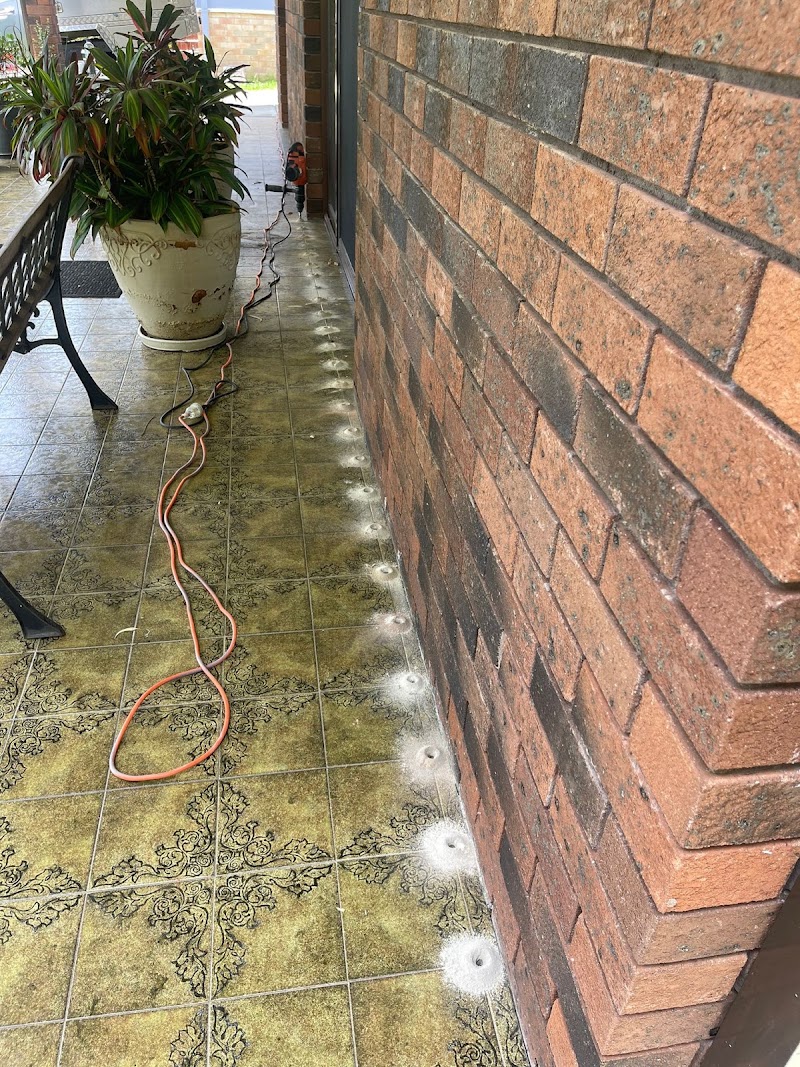 All Pest Control Newcastle