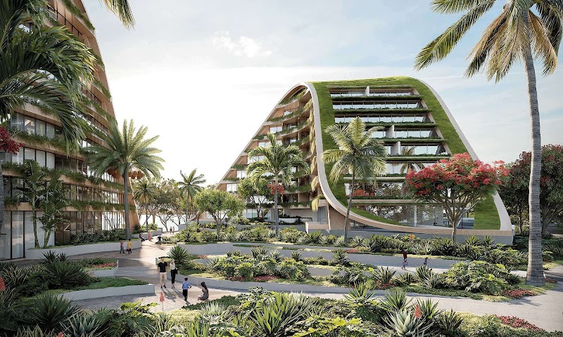 Arcadia Landscape Architecture Newcastle