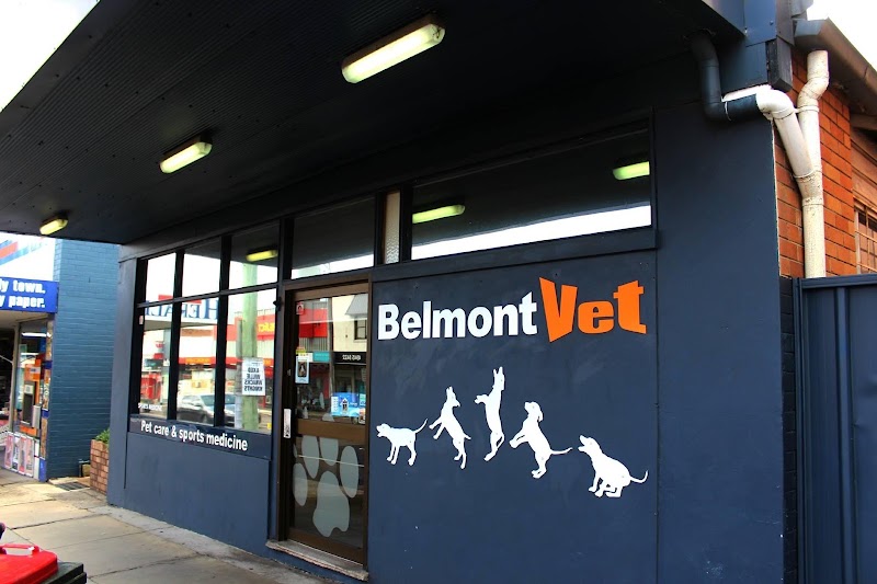 Belmont Veterinary Hospital