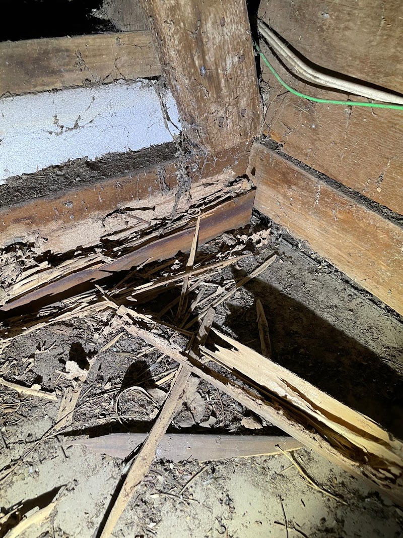 Black Label Pest Management - Pest Control Newcastle