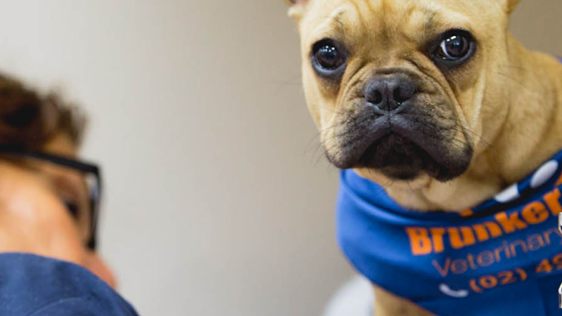 Brunker Road Veterinary Centre