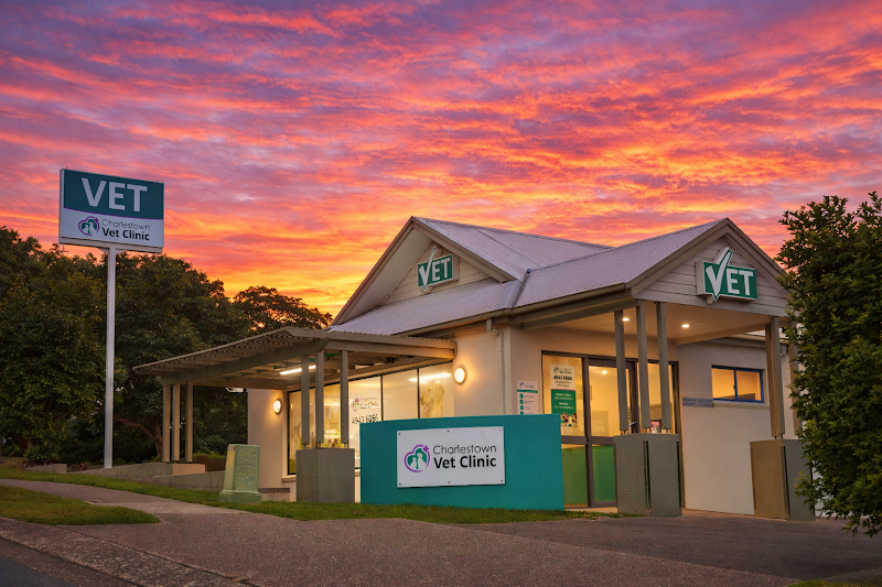 Charlestown Vet