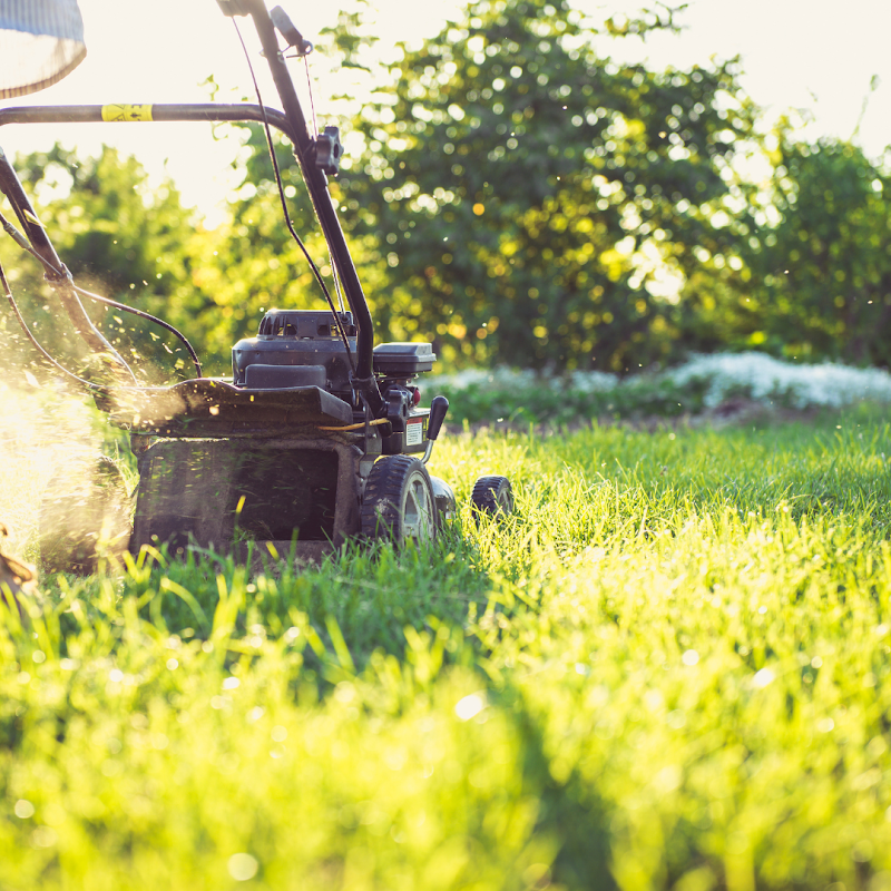Cooks Hill Lawn & Garden Maintenance