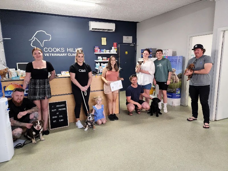Cooks Hill Veterinary Clinic