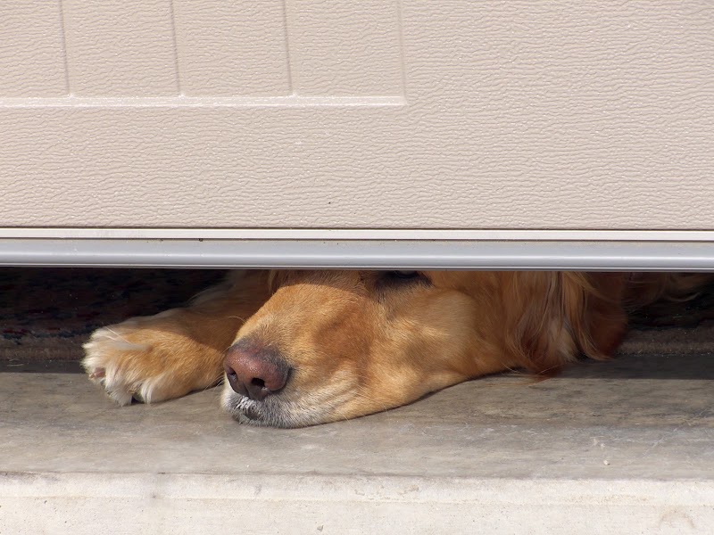 Garage Door Assist