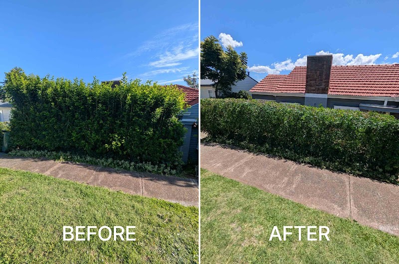 Gringo Yard And Garden Maintenance