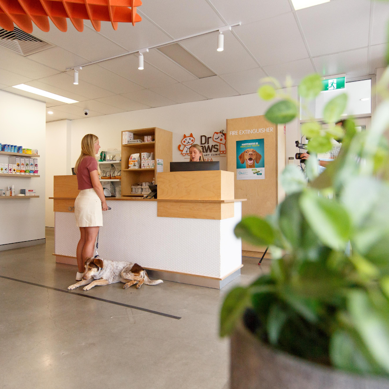 Kotara Veterinary Clinic Newcastle