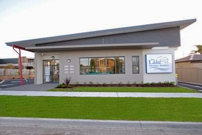 Lake Veterinary Hospital Belmont