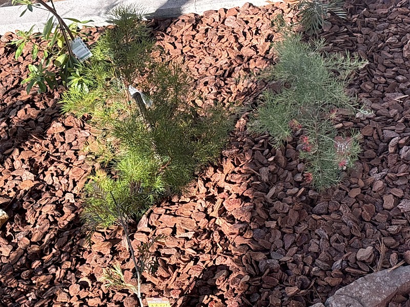 Mantle's Landscape Supplies