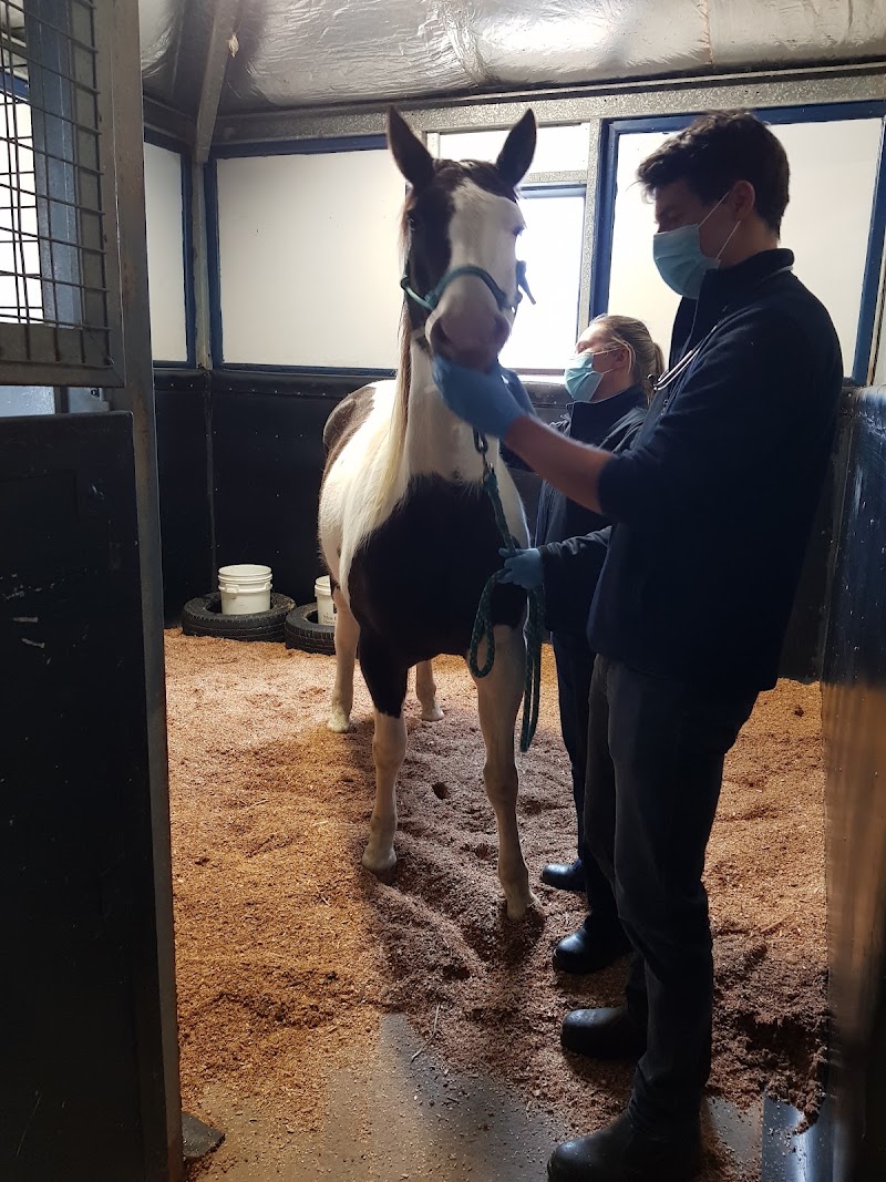 Newcastle Equine Centre