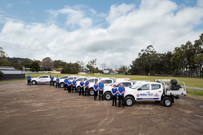 Rebel Pest Professionals