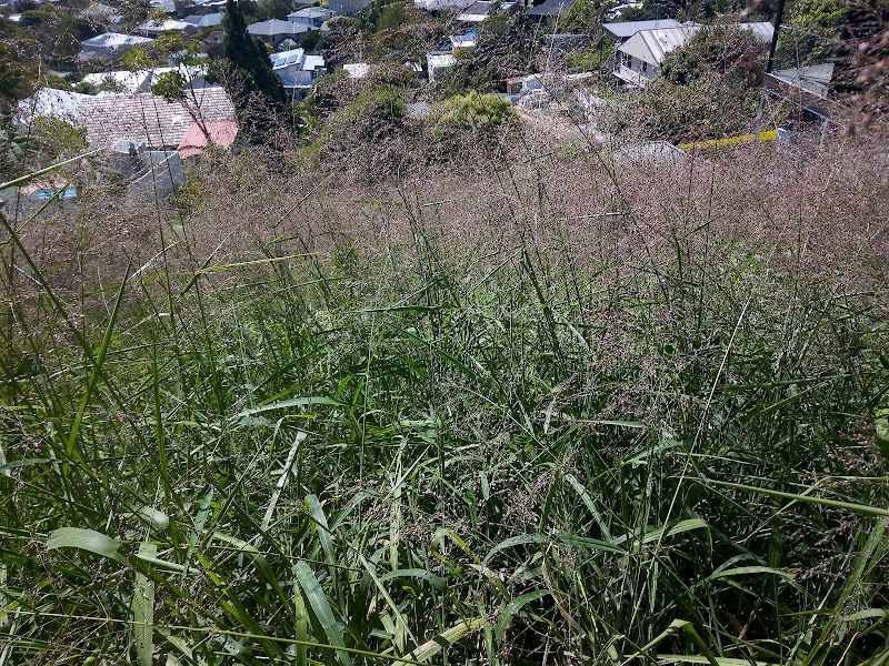 Steve's Yardworks