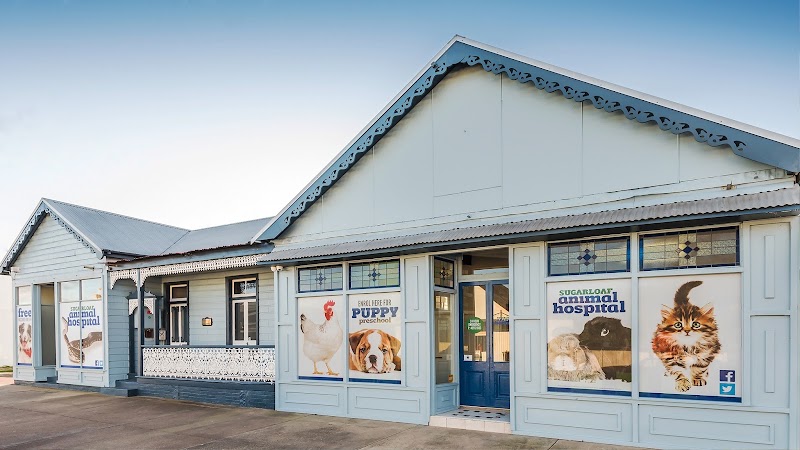 Sugarloaf Animal Hospital | Vet Clinic