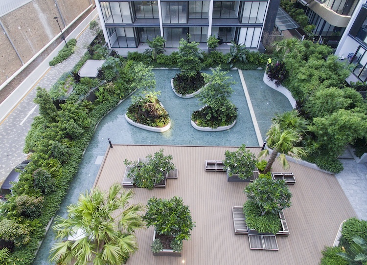 Taylor Brammer Landscape Architects Pty Ltd