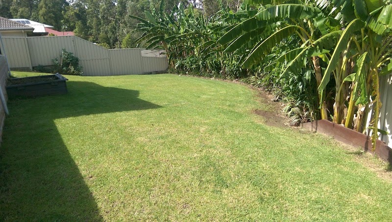 Urban Lawn Care Services